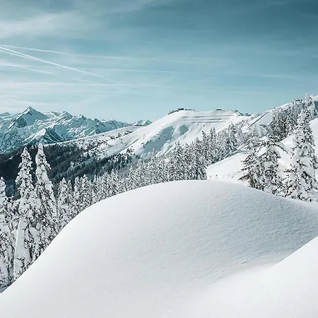 Apartment Premium Adlerhorst By We Rent Zell am See